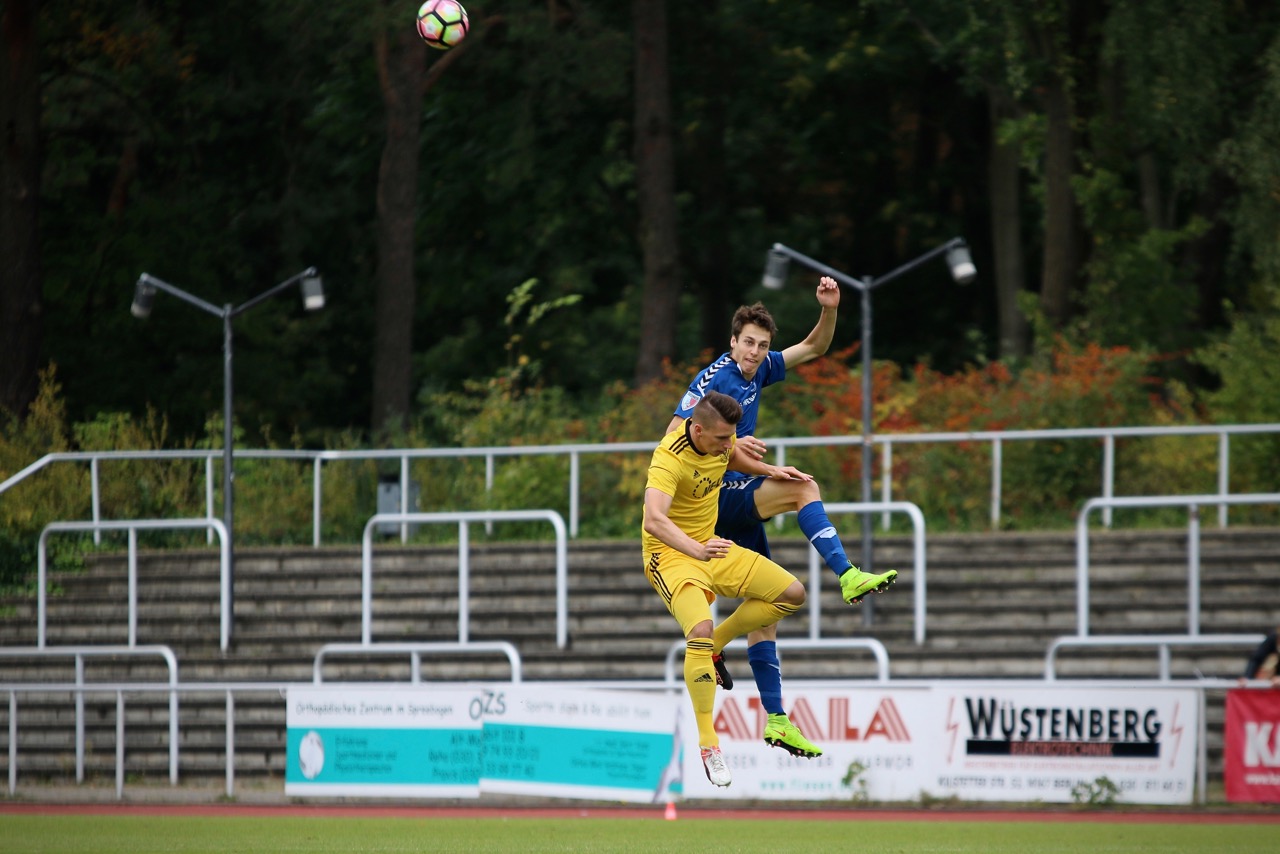 1.Herren gegen Torgelower Greif