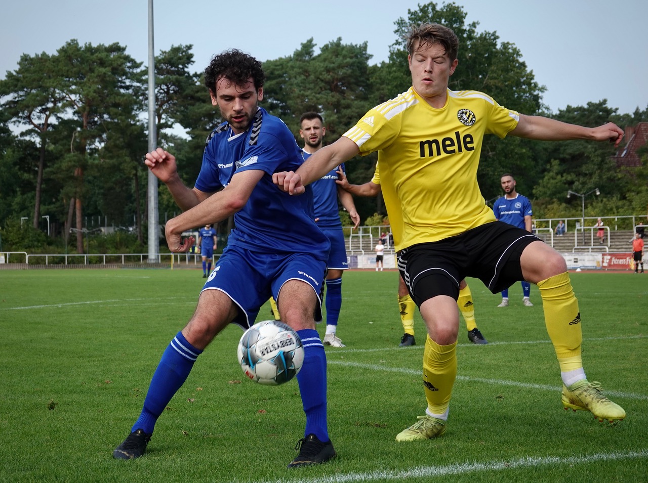 1.Herren gegen Torgelower FC Greif