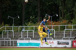 1.Herren gegen Torgelower Greif